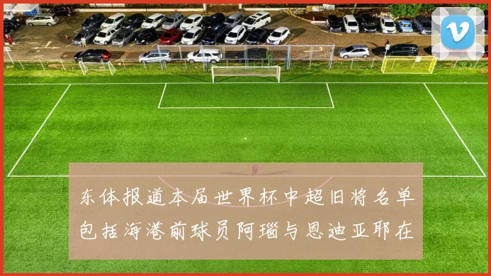 东体报道本届世界杯中超旧将名单包括海港前球员阿瑙与恩迪亚耶在内的10位球员